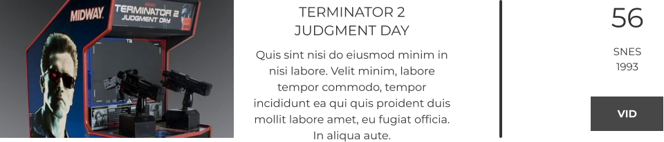 TERMINATOR 2JUDGMENT DAY Quis sint nisi do eiusmod minim in nisi labore. Velit minim, labore tempor commodo, tempor incididunt ea qui quis proident duis mollit labore amet, eu fugiat officia. In aliqua aute.  56 SNES 1993 VID VID