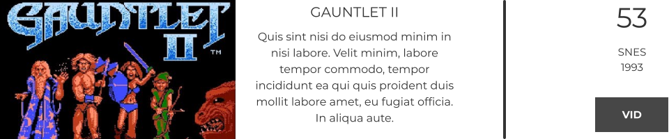 GAUNTLET II Quis sint nisi do eiusmod minim in nisi labore. Velit minim, labore tempor commodo, tempor incididunt ea qui quis proident duis mollit labore amet, eu fugiat officia. In aliqua aute.  53 SNES 1993 VID VID