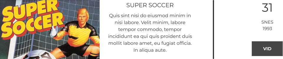 SUPER SOCCER Quis sint nisi do eiusmod minim in nisi labore. Velit minim, labore tempor commodo, tempor incididunt ea qui quis proident duis mollit labore amet, eu fugiat officia. In aliqua aute.  31 SNES 1993 VID VID