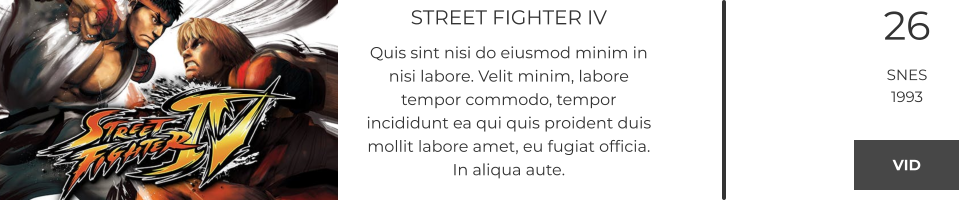 STREET FIGHTER IV Quis sint nisi do eiusmod minim in nisi labore. Velit minim, labore tempor commodo, tempor incididunt ea qui quis proident duis mollit labore amet, eu fugiat officia. In aliqua aute.  26 SNES 1993 VID VID