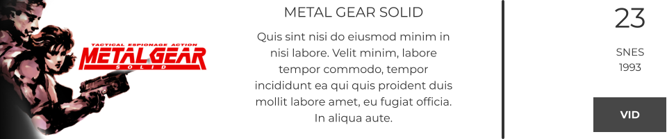 METAL GEAR SOLID Quis sint nisi do eiusmod minim in nisi labore. Velit minim, labore tempor commodo, tempor incididunt ea qui quis proident duis mollit labore amet, eu fugiat officia. In aliqua aute.  23 SNES 1993 VID VID