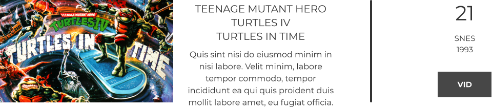 TEENAGE MUTANT HERO TURTLES IVTURTLES IN TIME Quis sint nisi do eiusmod minim in nisi labore. Velit minim, labore tempor commodo, tempor incididunt ea qui quis proident duis mollit labore amet, eu fugiat officia.  21 SNES 1993 VID VID