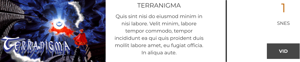 TERRANIGMA Quis sint nisi do eiusmod minim in nisi labore. Velit minim, labore tempor commodo, tempor incididunt ea qui quis proident duis mollit labore amet, eu fugiat officia. In aliqua aute.  1 SNES  VID VID